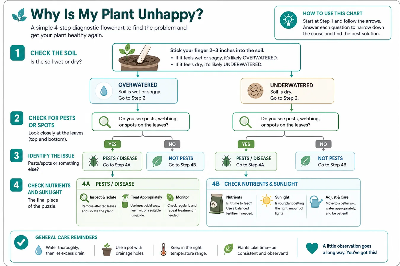 Diagnostic flow for dying outdoor plants: check soil wet or dry, then pests, then nutrients and sun